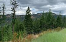 Tr 11 Whitetail Ridge, Kila