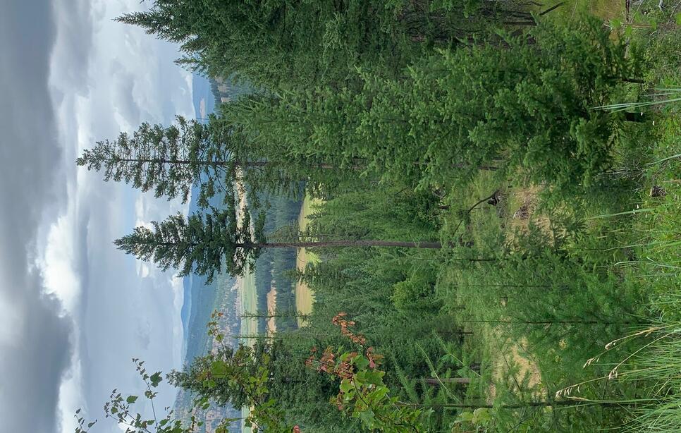 Tr 11 Whitetail Ridge, Kila