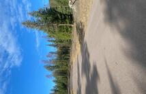 134 Conley Court, Kila