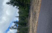 134 Conley Court, Kila