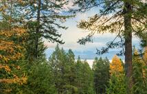 155 Wulff Lane, Lakeside