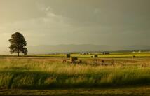 1180 Clark Drive, Kalispell