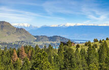 Nhn Chief Cliff Lane, Dayton