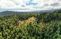 Nhn Buffalo Lane, Somers