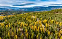 1143 Whitefish Ridge Road, Whitefish