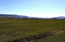 182 Patton Road, Lonepine