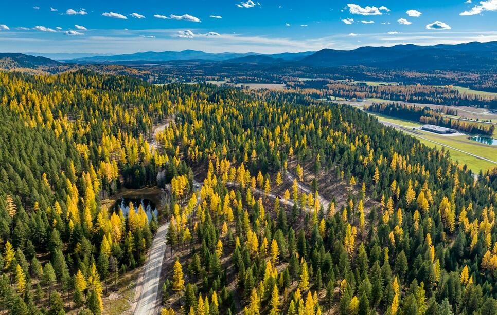 1131 Whitefish Ridge Road, Whitefish