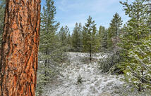 156 Badger Hollow Trail, Marion