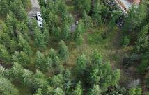99 Nelson Drive, Rexford