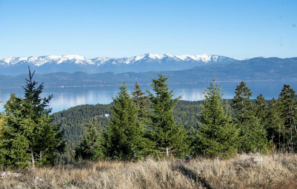 367 Ridge Line Drive, Lakeside
