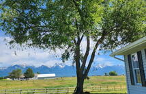 37251 Little Marten Road, Ronan