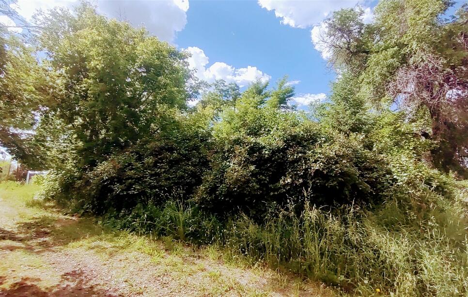 613 5th Avenue Sw N/a, Ronan