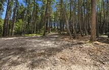 1615 Truman Creek Road, Kila