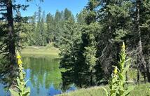 196 Belterra Lane, Bigfork
