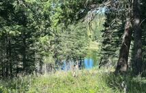196 Belterra Lane, Bigfork
