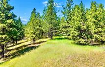 Nhn Rolling Hills Road, Eureka