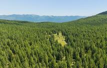 160 Pinkham Creek Road, Rexford