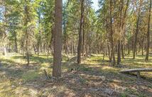 Enchanted Way, Rexford