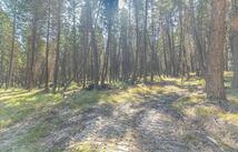 Enchanted Way, Rexford
