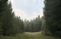 47466 Harmony Lane, Proctor