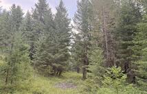 47466 Harmony Lane, Proctor