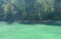 Nhn Cliff View, Whitefish
