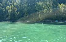 Nhn Cliff View, Whitefish