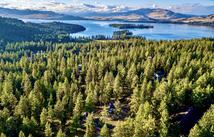 41134 Silversmith Lane, Polson