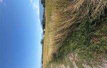 119 Birch Grove Road, Kalispell