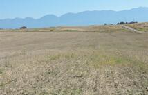 Nhn Tower Road, Polson