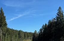 8575 Mt Hwy 35, Bigfork