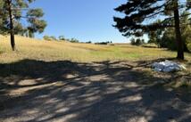 Nhn Buena Vista Lane, Polson
