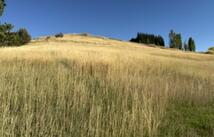Nhn Buena Vista Lane, Polson