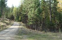 Lot 8 Whispering Pines Subdivision, Fortine