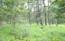 Black Lake Road, Rexford