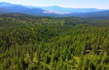 Corona Rd Ranch, Plains