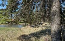 22329 Old Mill Road, Bigfork