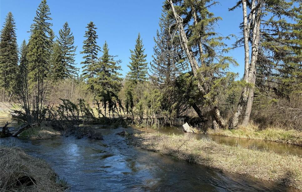 22329 Old Mill Road, Bigfork