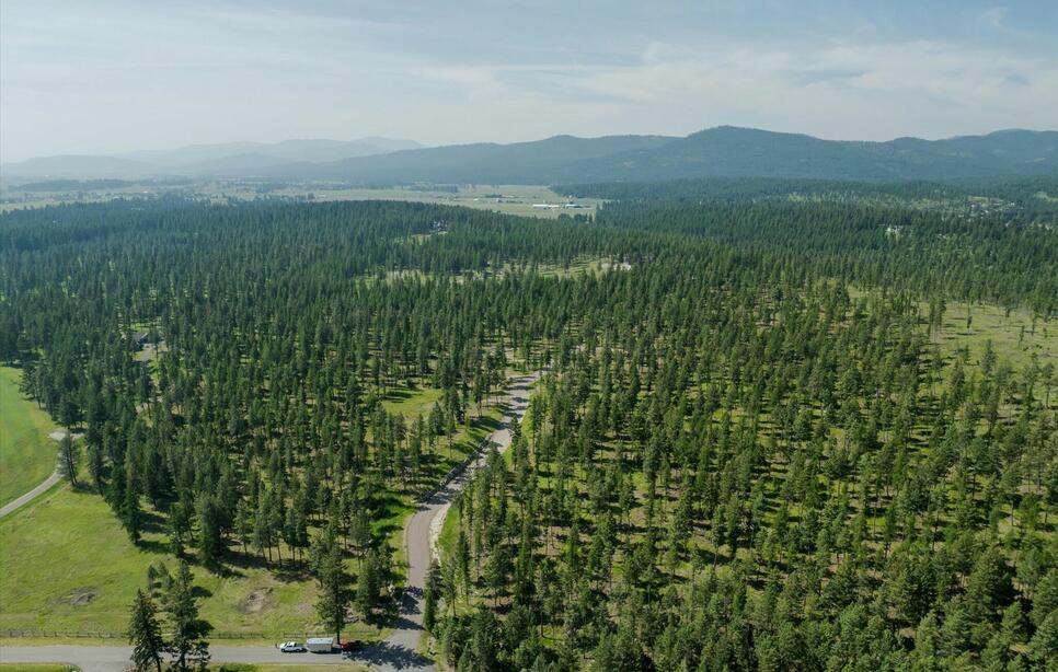 510 Northern Larch Trail, Kalispell