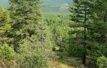 108 Conley Court, Kila