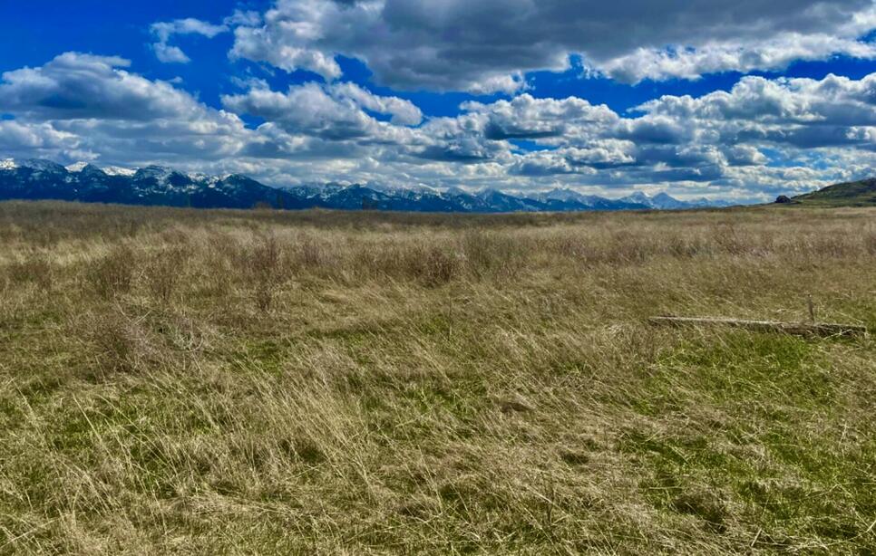 38396 Broken Wheel Road, Polson