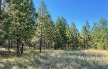 Lot 55 Jette Meadow Road, Polson