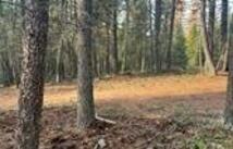 761 Springhill Road, Kila