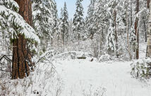 375 Ranch Road, Bigfork