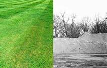 0 No Real Property, Whitefish