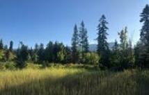 13515 & 13523 Sundance Trail, Bigfork