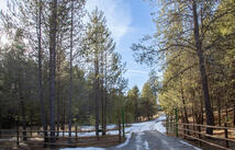 614 Griz Lane, Marion