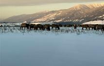 815 Velvet Grove, Eureka