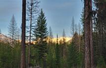 34477 Shay Lake Road, Bigfork