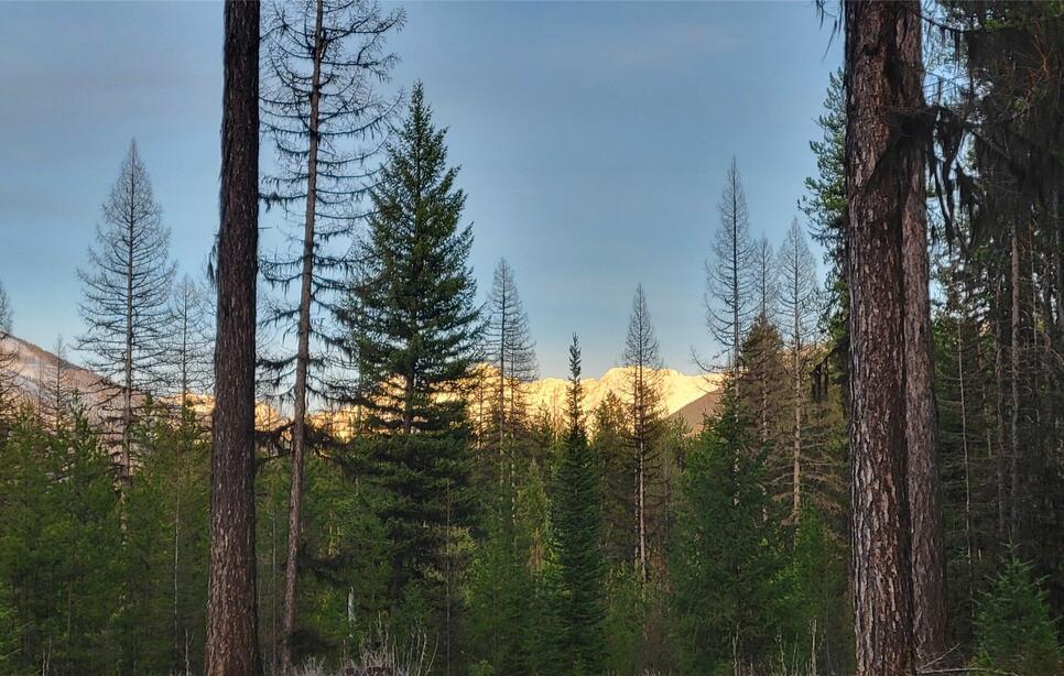 34477 Shay Lake Road, Bigfork